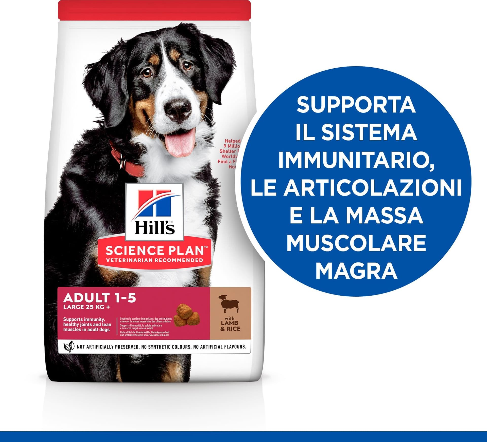 Hill's Mantenimento secco Cani Adulti Large agnello e riso 12 kg in Secco 101 Market - Poggibonsi, commercioVirtuoso.it