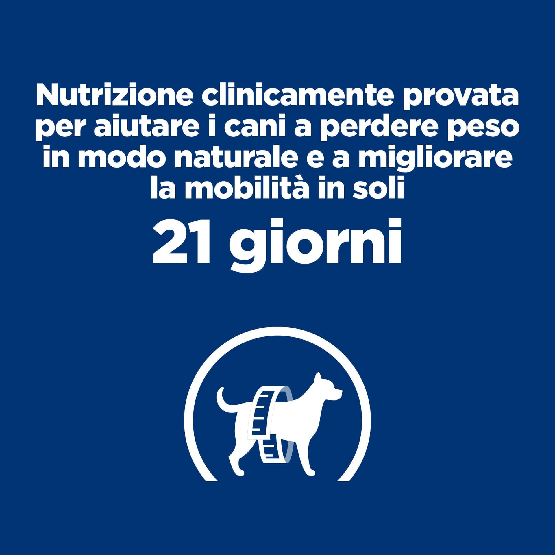 Hill's Prescription Diet Metabolic+Mobility secco Cani Adulti pollo in Secco 101 Market - Poggibonsi, commercioVirtuoso.it