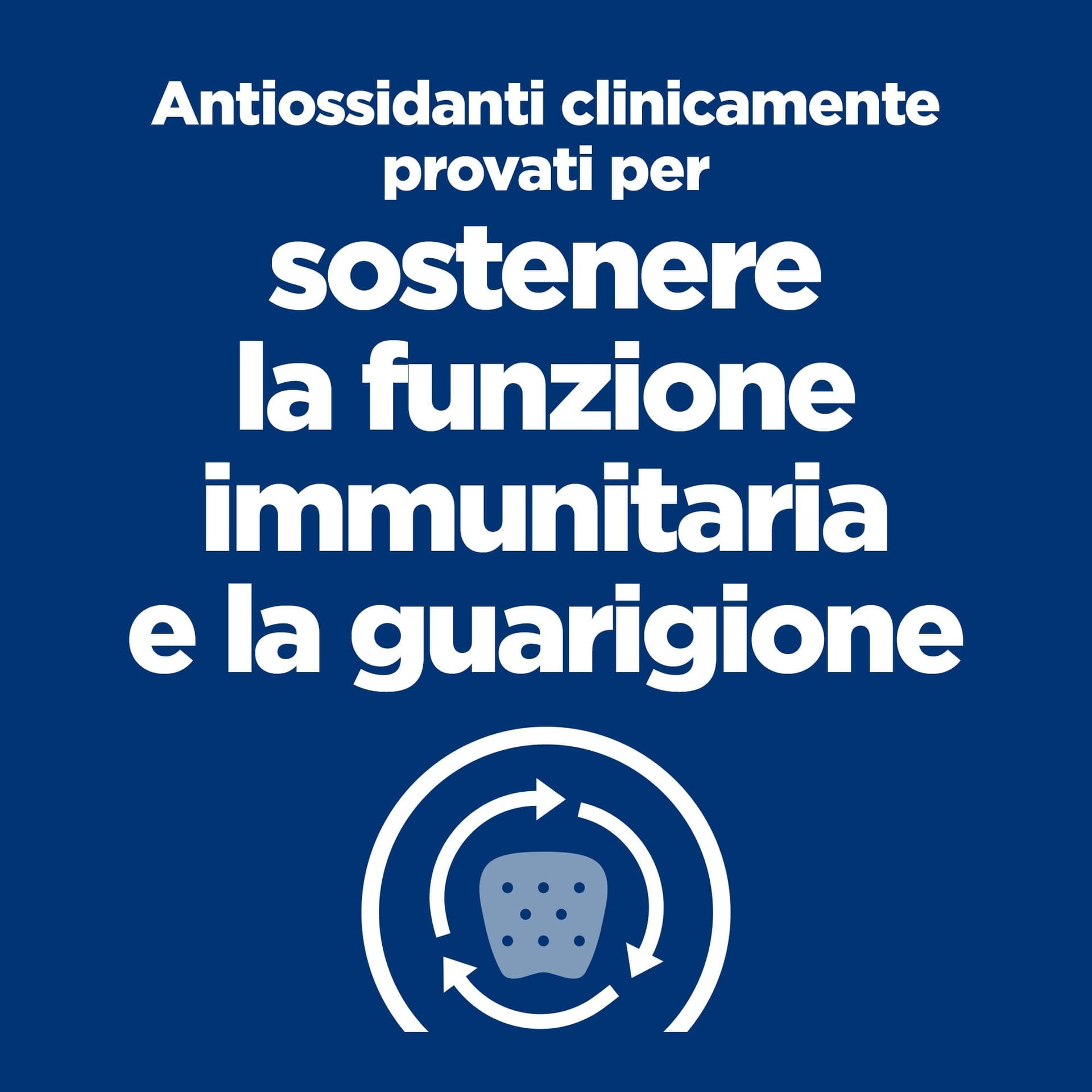 Hill's Prescription Diet a/d Care umido Cani e Gatti Adulti pollo 156 gr in Secco 101 Market - Poggibonsi, commercioVirtuoso.it