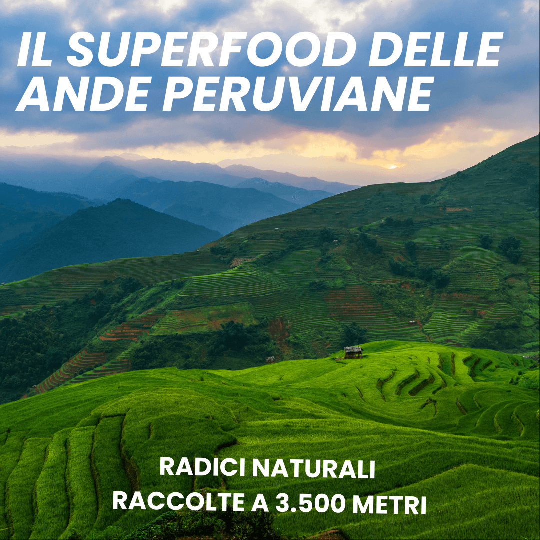 Maca Peruviana Pura Biologica in Maca Natugea - Pavia, commercioVirtuoso.it