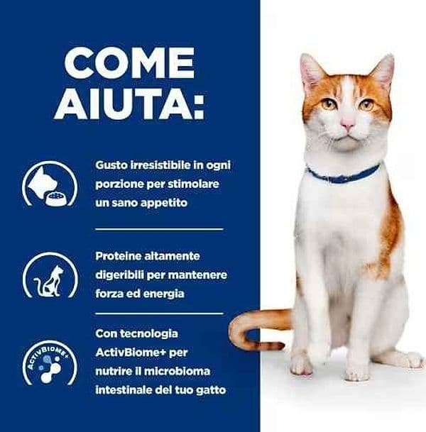 Hill's Prescription Diet ON-Care Spezzatino per Gatti Adulti 82gr in Secco 101 Market - Poggibonsi, commercioVirtuoso.it