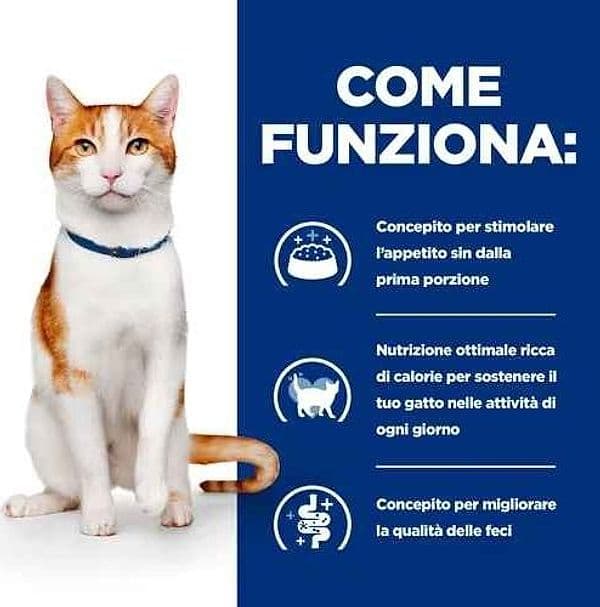 Hill's Prescription Diet ON-Care Spezzatino per Gatti Adulti 82gr in Secco 101 Market - Poggibonsi, commercioVirtuoso.it