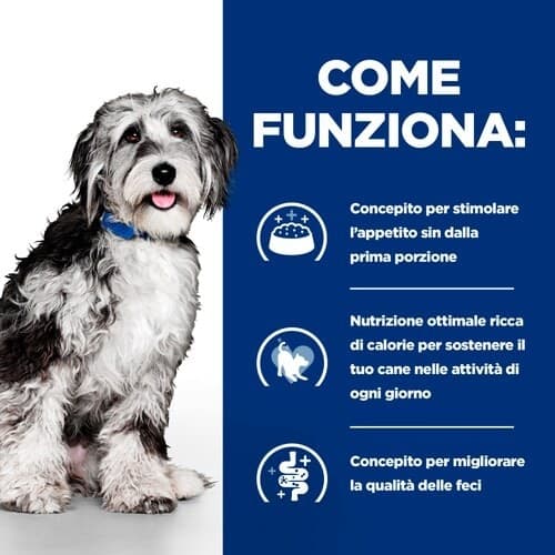 Hill's Prescription Diet ON-Care Spezzatino per Cani Adulti 354gr in Secco 101 Market - Poggibonsi, commercioVirtuoso.it