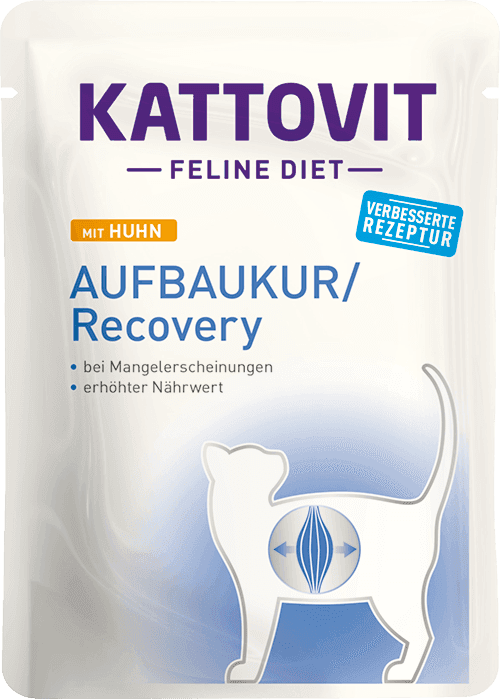 Kattovit Feline Diet Recovery Pollo 85gr - 2