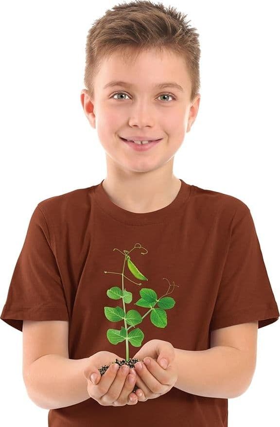 Clementoni - Scienza e Gioco Botanica - Idrocultura Mini New 19377 in Kit e esperimenti di scienze Centro Bimbo - Siderno, commercioVirtuoso.it