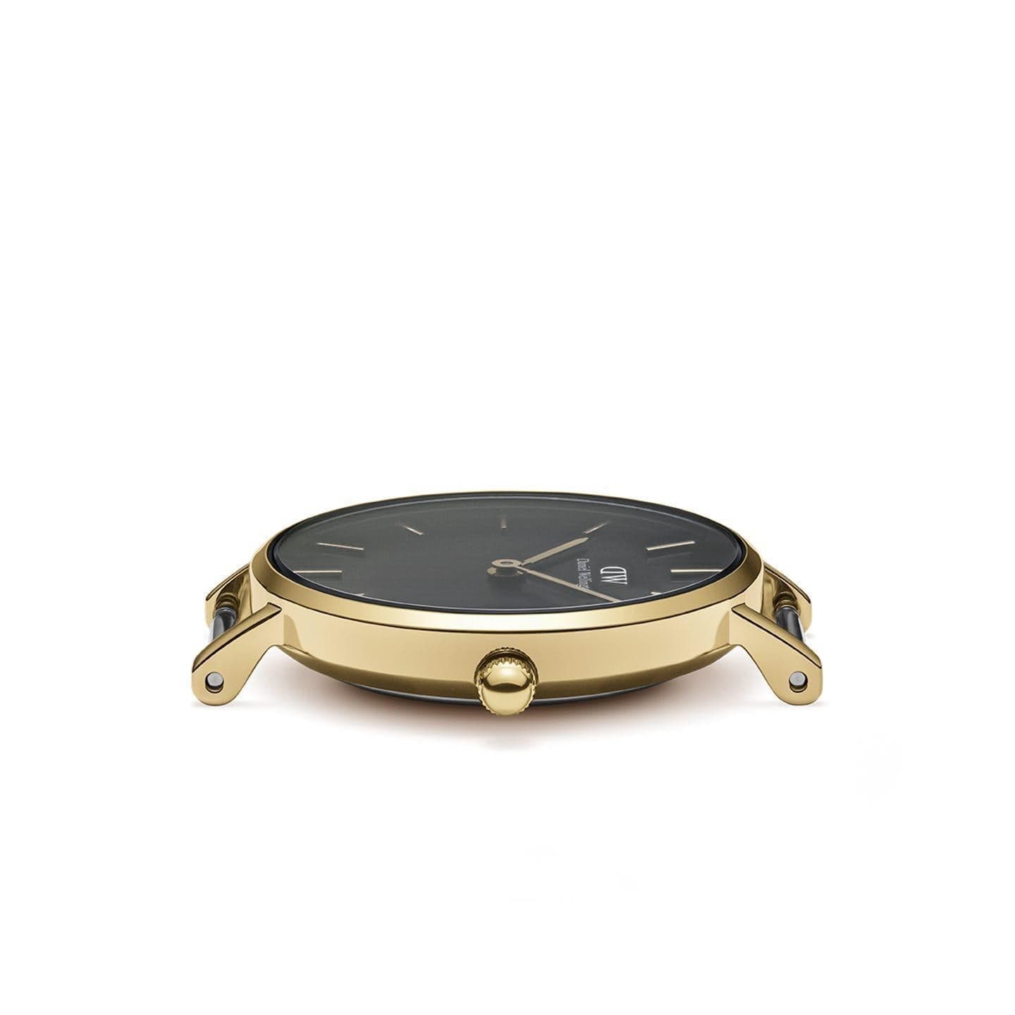 Daniel Wellington -  orologio PETITE EVERGOLD BLACK in Orologi da polso Alba Gioielli - Casoria, commercioVirtuoso.it