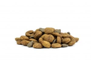 Forza 10 Active Gatto Urinary in Secco 101 Market - Poggibonsi, commercioVirtuoso.it