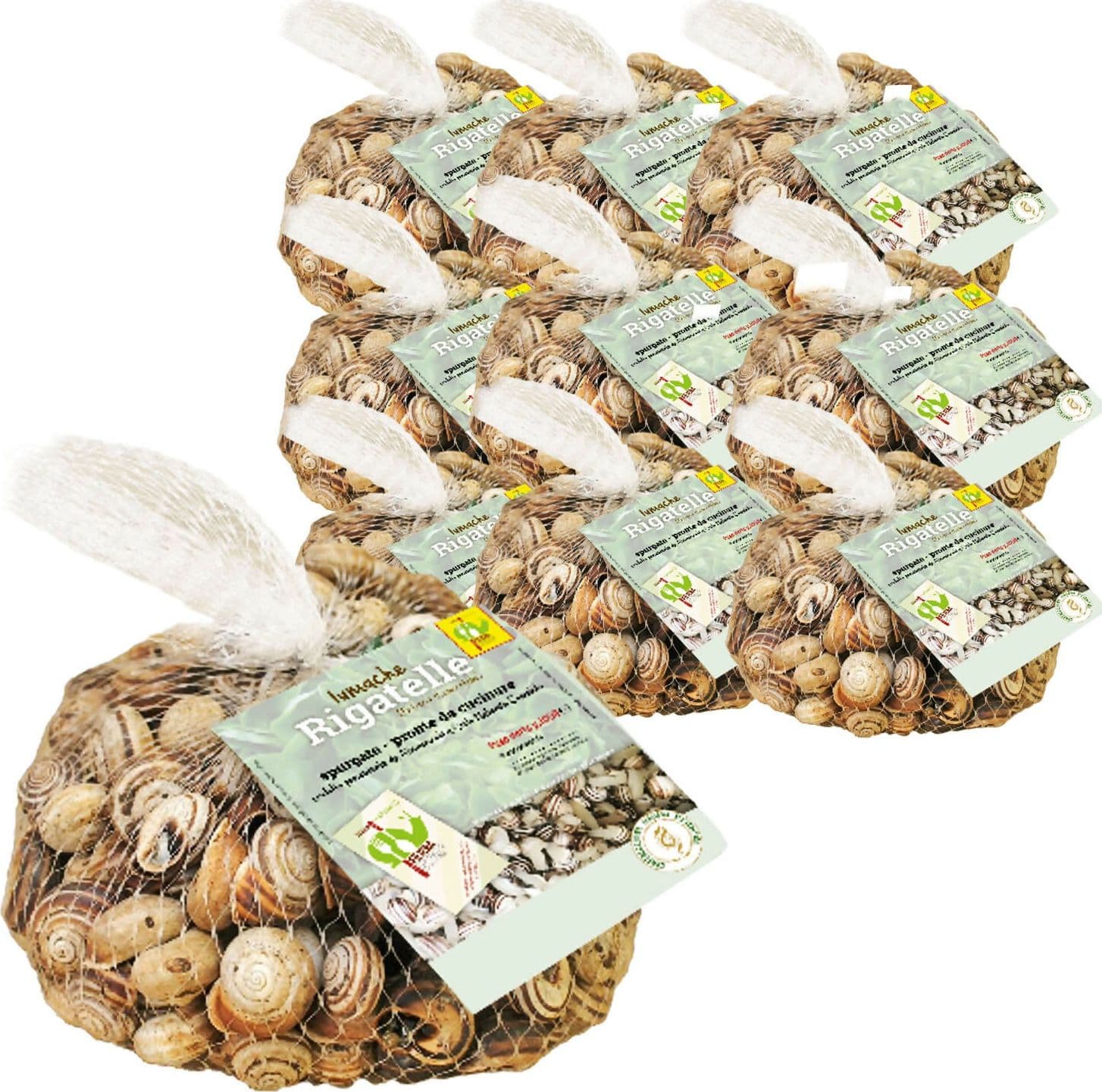 LUMACHE RIGATELLE da Gastronomia Eobania Vermiculata Spurgate Pronte da Cucinare 100% Italiane in Lumache Coclè - Piana di Monte Verna, commercioVirtuoso.it