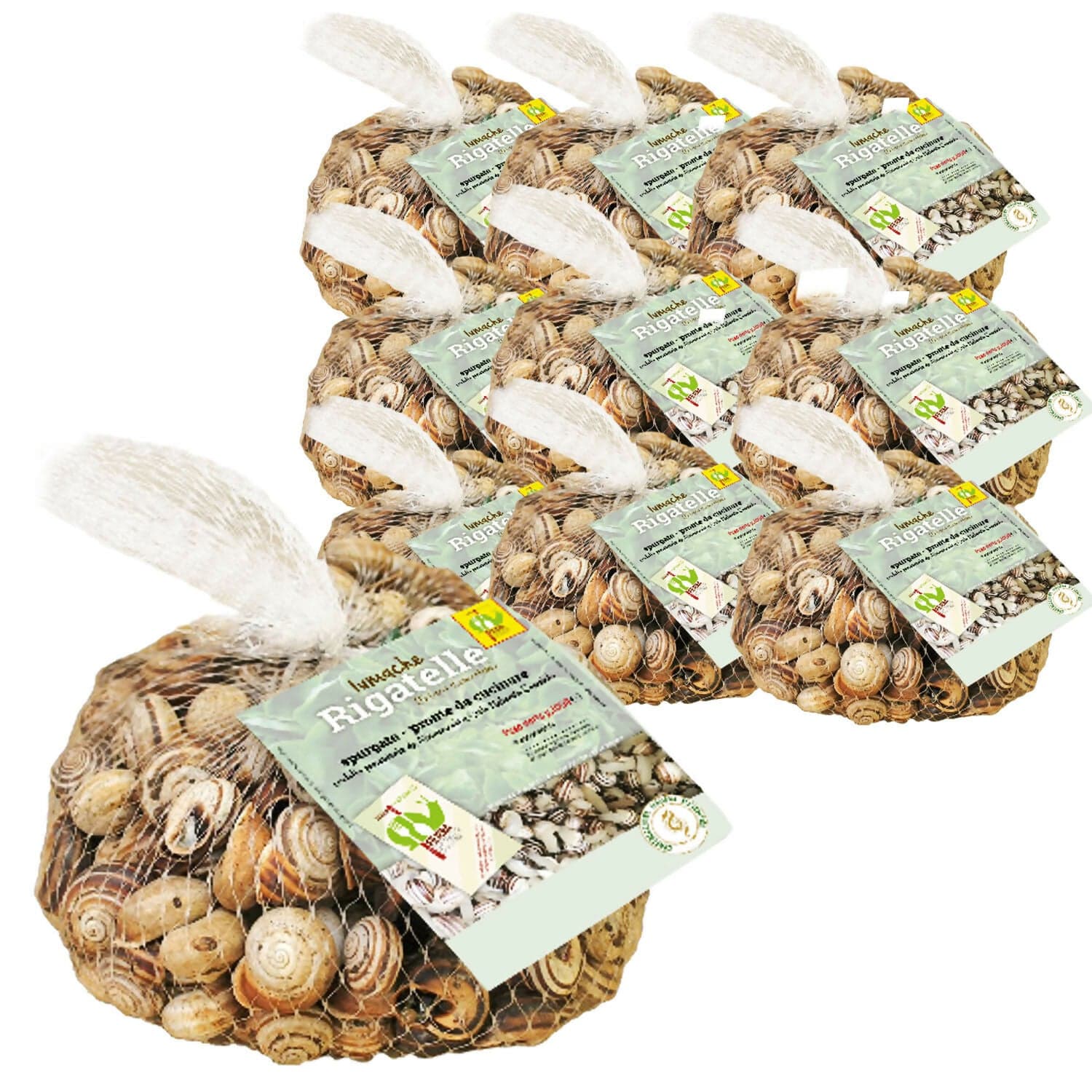 LUMACHE RIGATELLE da Gastronomia Eobania Vermiculata Spurgate Pronte da Cucinare 100% Italiane in Lumache Coclè - Piana di Monte Verna, commercioVirtuoso.it