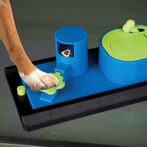Dog Activity Poker Box in Giochi interattivi 101 Market - Poggibonsi, commercioVirtuoso.it