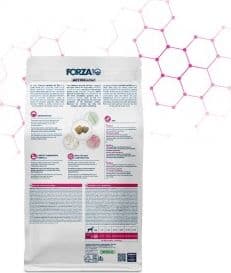 Forza 10 Active Cane Intestinal in Secco 101 Market - Poggibonsi, commercioVirtuoso.it