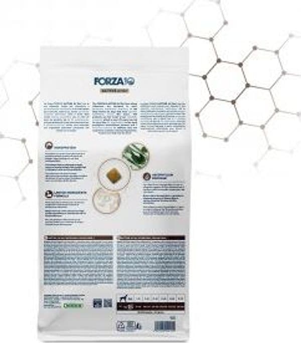 Forza 10 Active Cane Intestinal Colon Fase 1 in Secco 101 Market - Poggibonsi, commercioVirtuoso.it