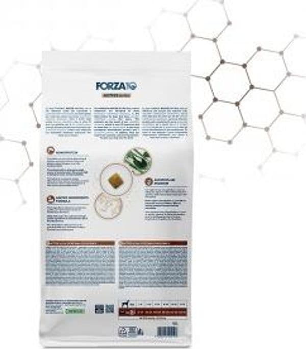 Forza 10 Active Cane Intestinal Colon Fase 2 in Secco 101 Market - Poggibonsi, commercioVirtuoso.it