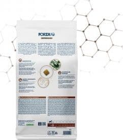 Forza 10 Active Cane Intestinal Colon Fase 2 in Secco 101 Market - Poggibonsi, commercioVirtuoso.it