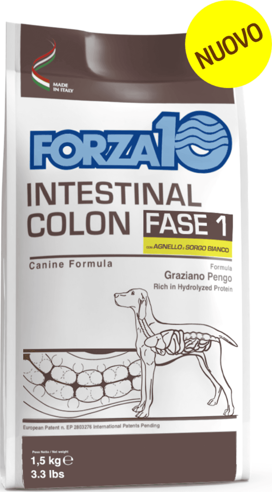 Forza 10 Active Cane Intestinal Colon Fase 1 con Agnello e Sorgo bianco in Secco 101 Market - Poggibonsi, commercioVirtuoso.it