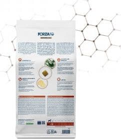 Forza 10 Active Cane Gastroenteric in Secco 101 Market - Poggibonsi, commercioVirtuoso.it