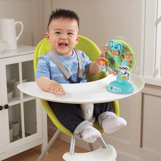VTech - Baby Ruota Panoramica in Giochi musicali Centro Bimbo - Siderno, commercioVirtuoso.it