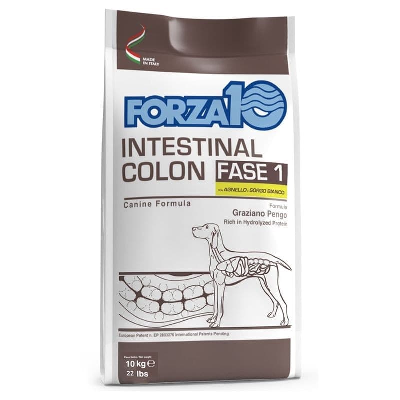 Forza 10 Active Cane Intestinal Colon Fase 1 con Agnello e Sorgo bianco in Secco 101 Market - Poggibonsi, commercioVirtuoso.it