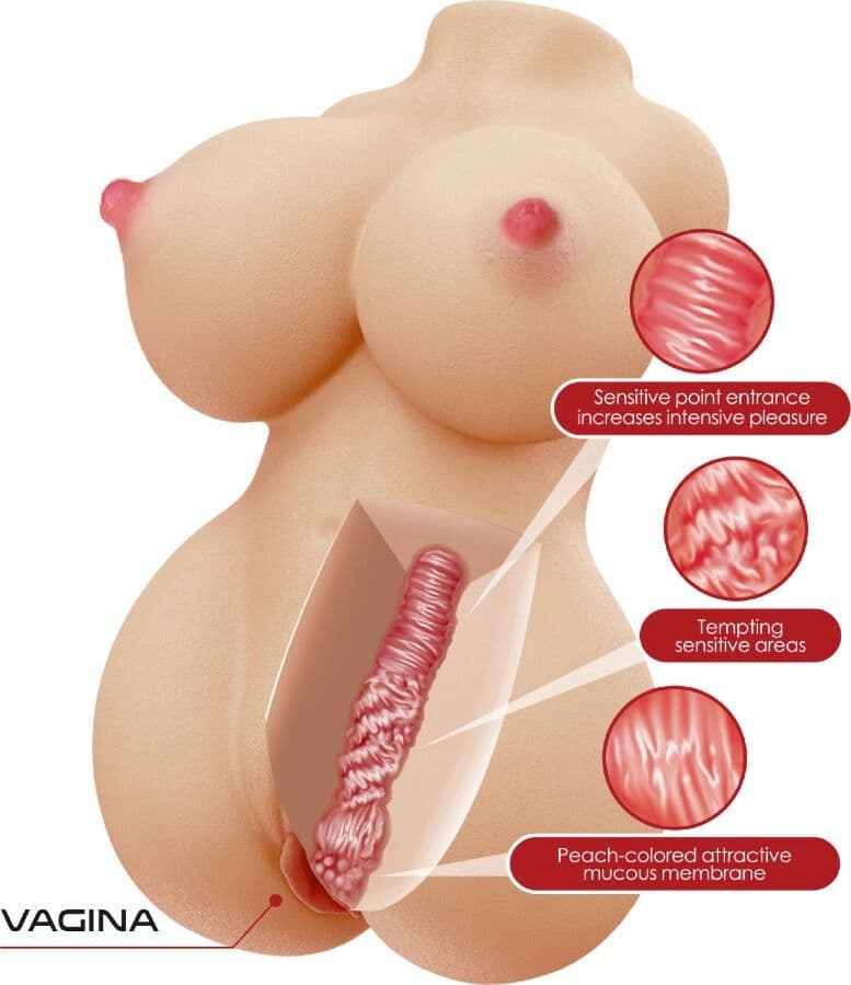 CRAZY BULL - HERTA MINI TORSO REALISTICO VAGINA FEMMINILE 497 G in Masturbatori realistici Desideria Shop - Latina, commercioVirtuoso.it