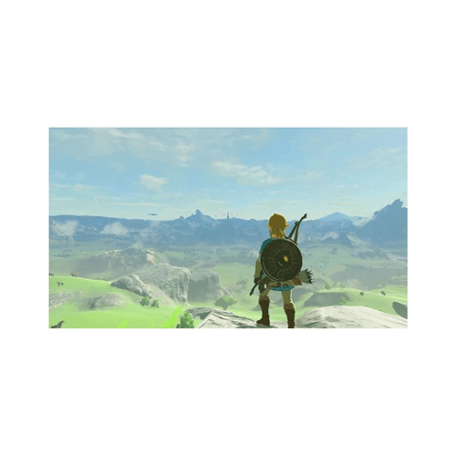 The Legend Of Zelda Breath Of The Wild Switch UK Usato2 in Custodie Prezzo Bomba Store - Casalnuovo di Napoli, commercioVirtuoso.it
