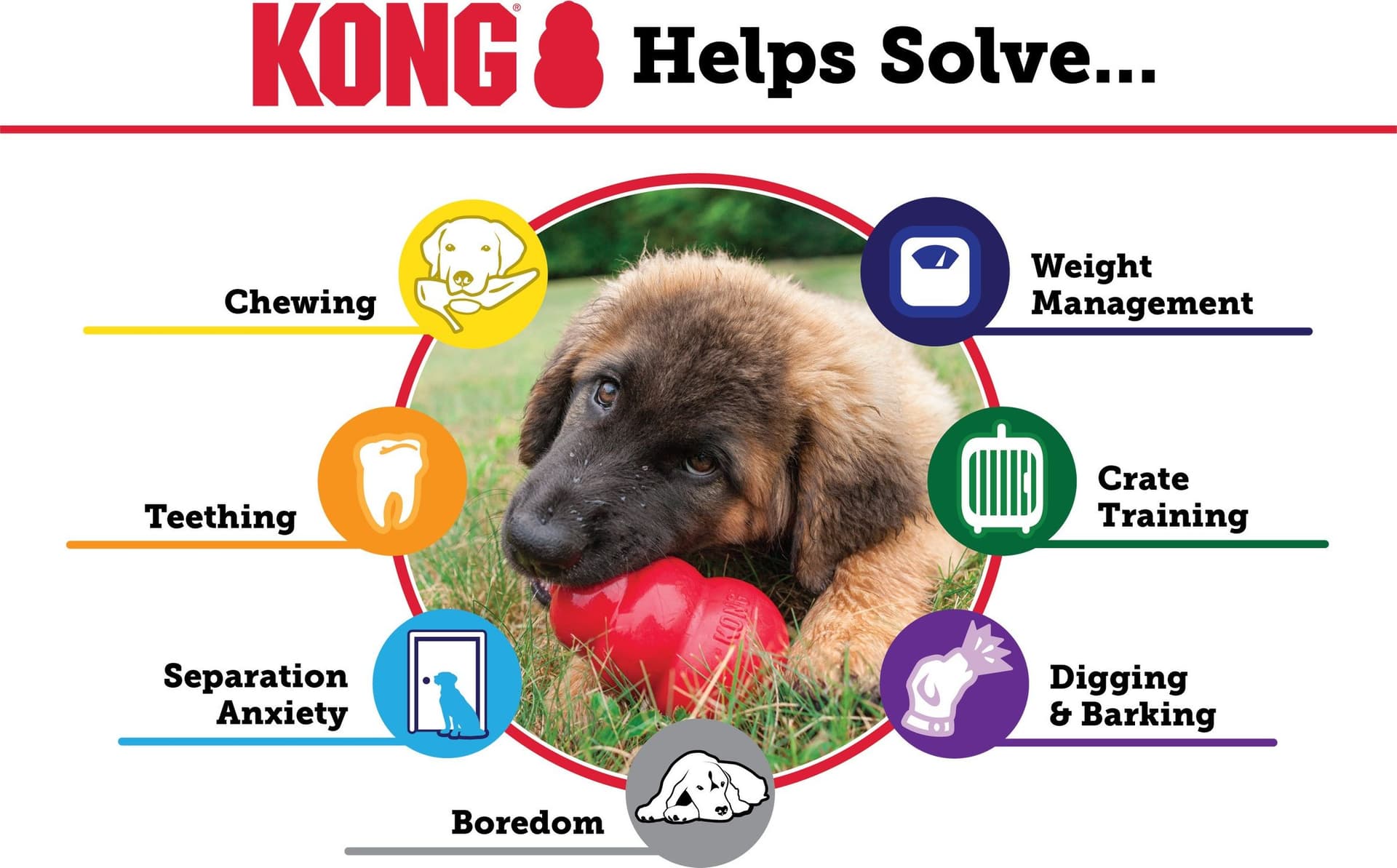 Kong Classic Gioco Interattivo per Cani in Palle 101 Market - Poggibonsi, commercioVirtuoso.it