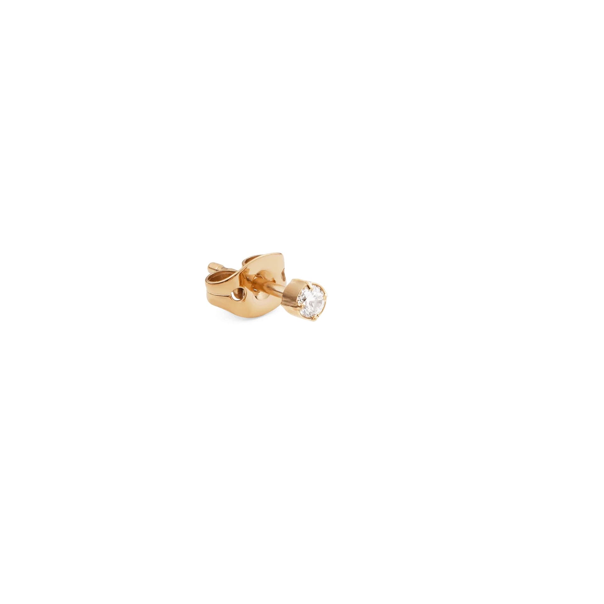 Daniel Wellington - Orecchini Crystal Stud Gold in Orecchini Alba Gioielli - Casoria, commercioVirtuoso.it