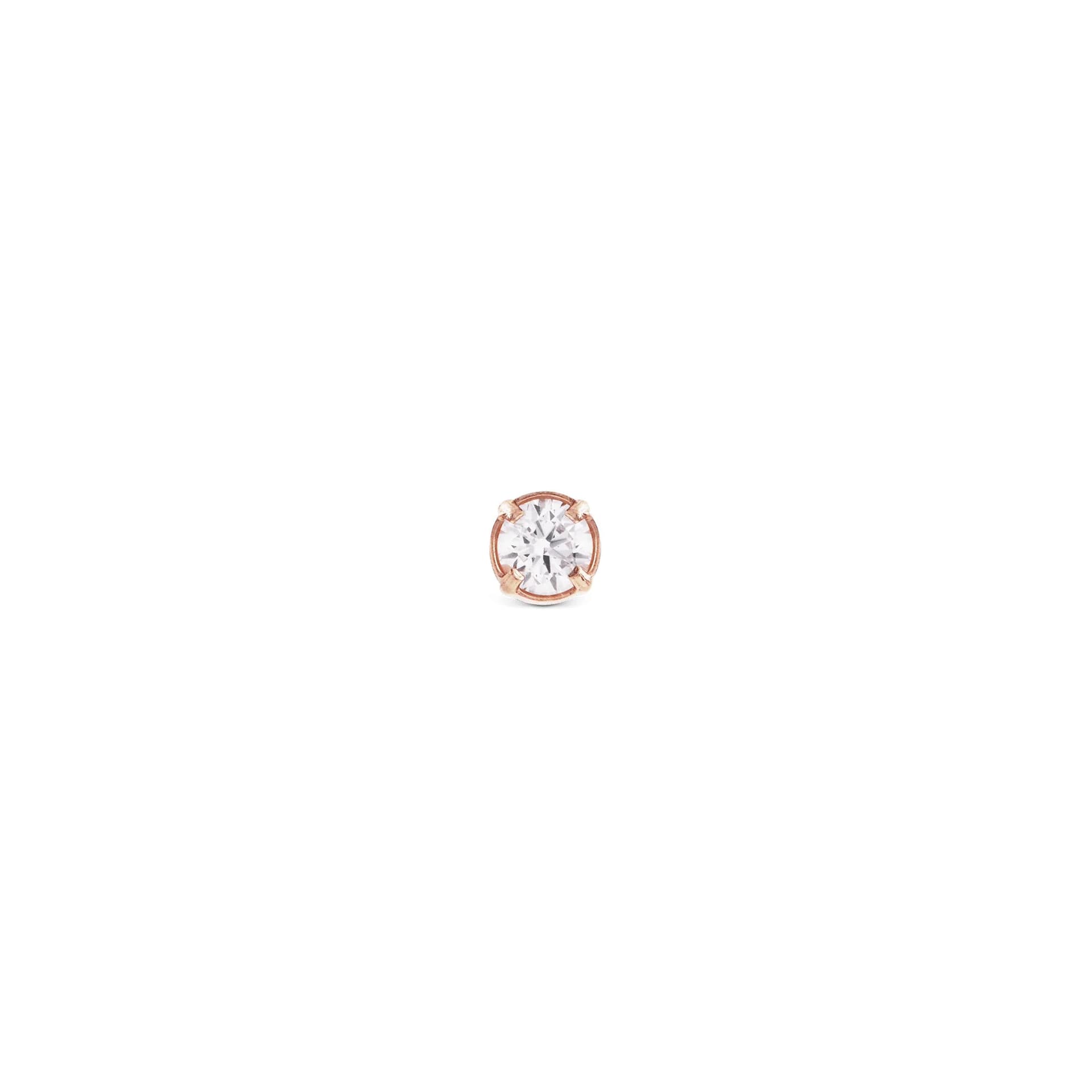 Daniel Wellington - Orecchini Crystal Stud Rose Gold in Orecchini Alba Gioielli - Casoria, commercioVirtuoso.it