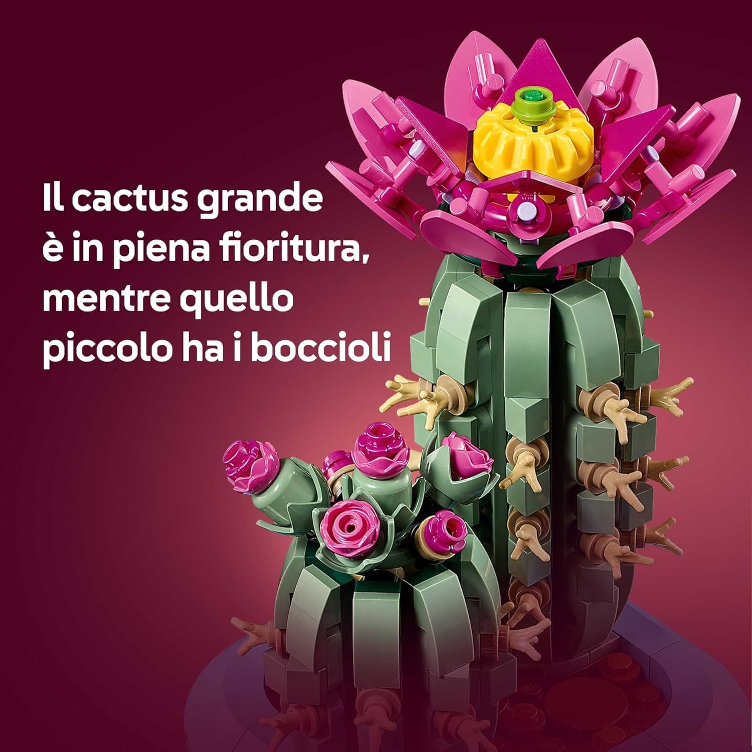 Lego Botanicals - Cactus in Fiore 11509 in Set di costruzioni Centro Bimbo - Siderno, commercioVirtuoso.it