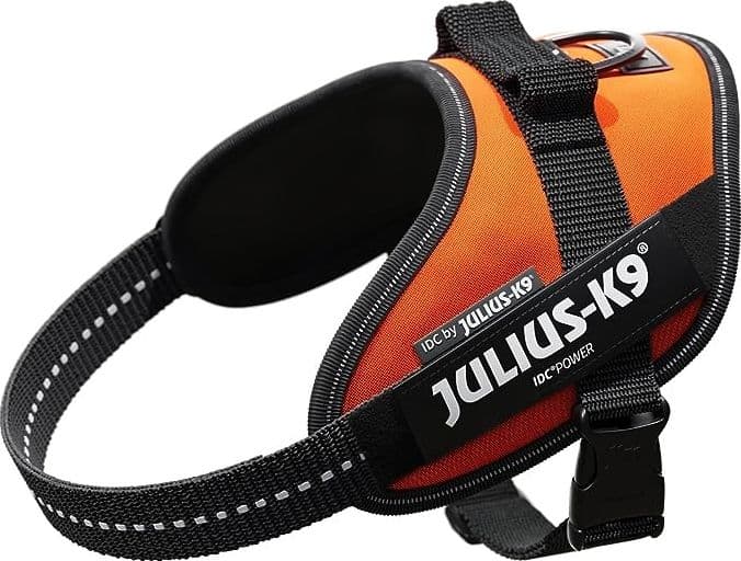 Pettorina Julius-K9 IDC Power Arancio Fluo in Imbracature con pettorina 101 Market - Poggibonsi, commercioVirtuoso.it