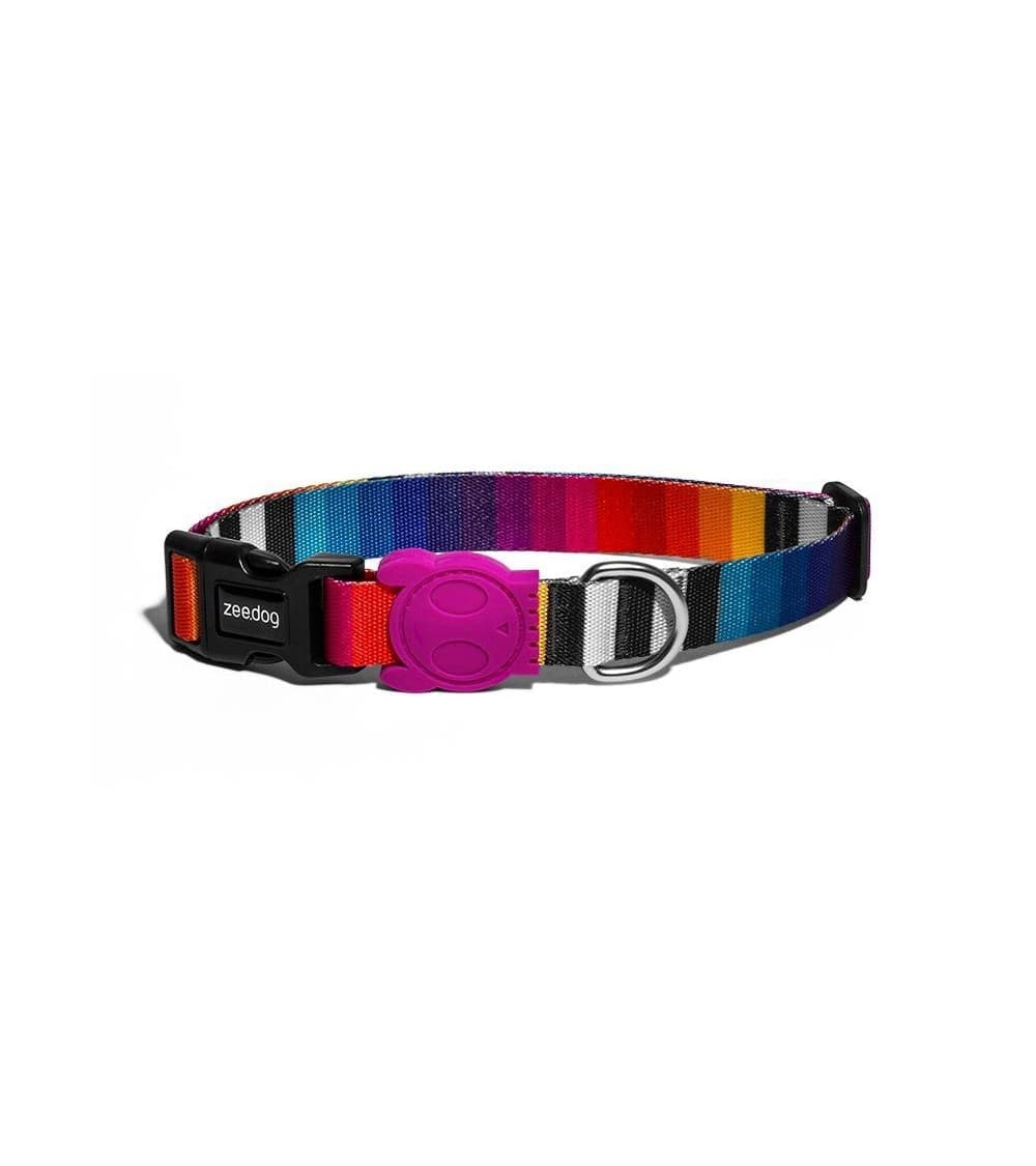 Collari standard per cani