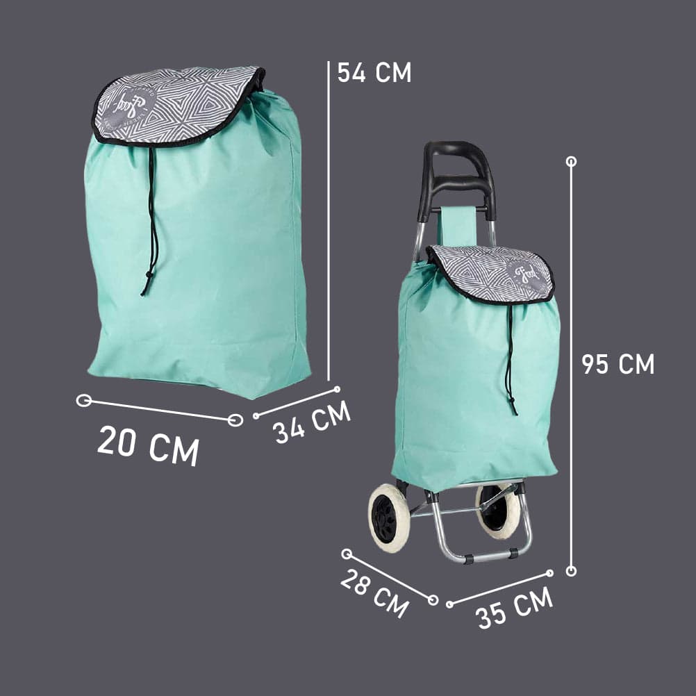 Carrello Porta Spesa Metallo Zincato Antipioggia Maniglia 2 Ruote in Trolley per la spesa Danyx - Casoria, commercioVirtuoso.it