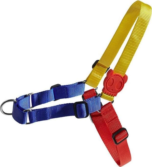 Imbracature di base con cavezza per cani
