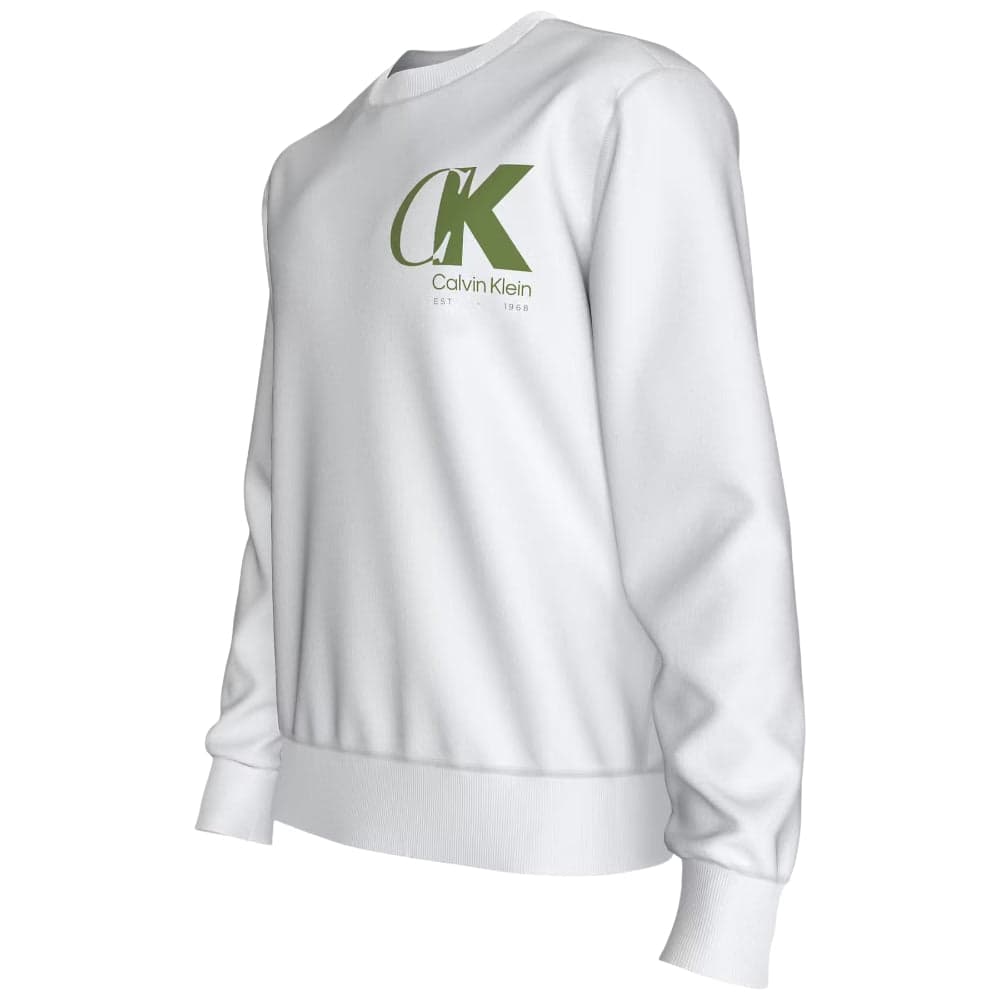Calvin Klein felpa bianca logo sul petto LV04LD243GYAF in Felpe con cappuccio Prodotti di Classe - Nocera Superiore, commercioVirtuoso.it
