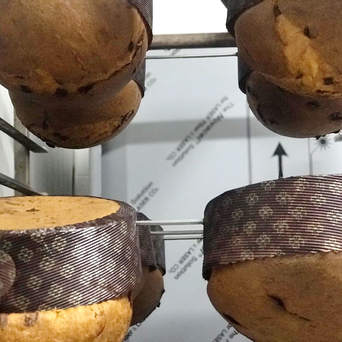 Panettone artigianale classico Tradizionale con uvetta dolce natalizio 1Kg in Panettoni Trinakia - Siracusa, commercioVirtuoso.it