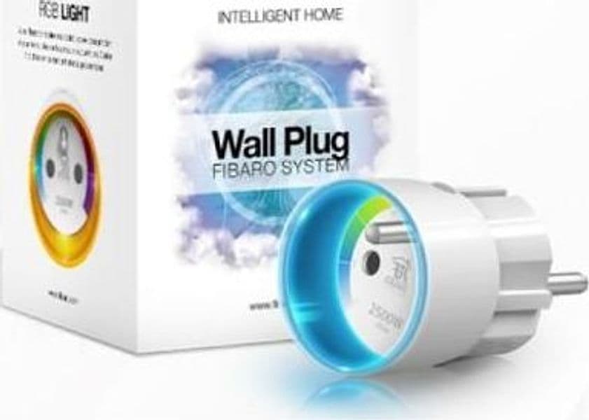 Fibaro spina a muro fr -tipo tipo e (fgwpe-102) (fgwpe102) - FIBSH000020