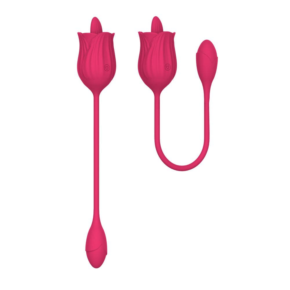 Rosa vibratore in silicone con lingua e ovulo vibrante 10 funzioni di vibrazione ricaricabile USB in Vibratori per coppia Kondorama - Martinsicuro, commercioVirtuoso.it
