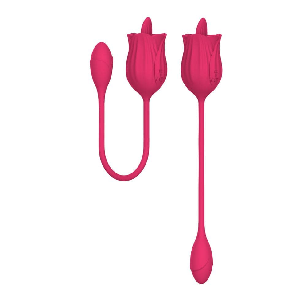 Rosa vibratore in silicone con lingua e ovulo vibrante 10 funzioni di vibrazione ricaricabile USB in Vibratori per coppia Kondorama - Martinsicuro, commercioVirtuoso.it
