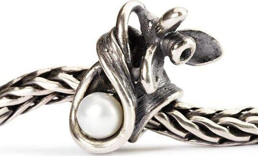Bucaneve di Gennaio-Trollbeads in Piercing a tunnel Alba Gioielli - Casoria, commercioVirtuoso.it