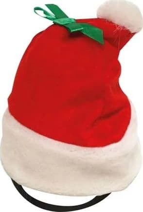Costumi per cani