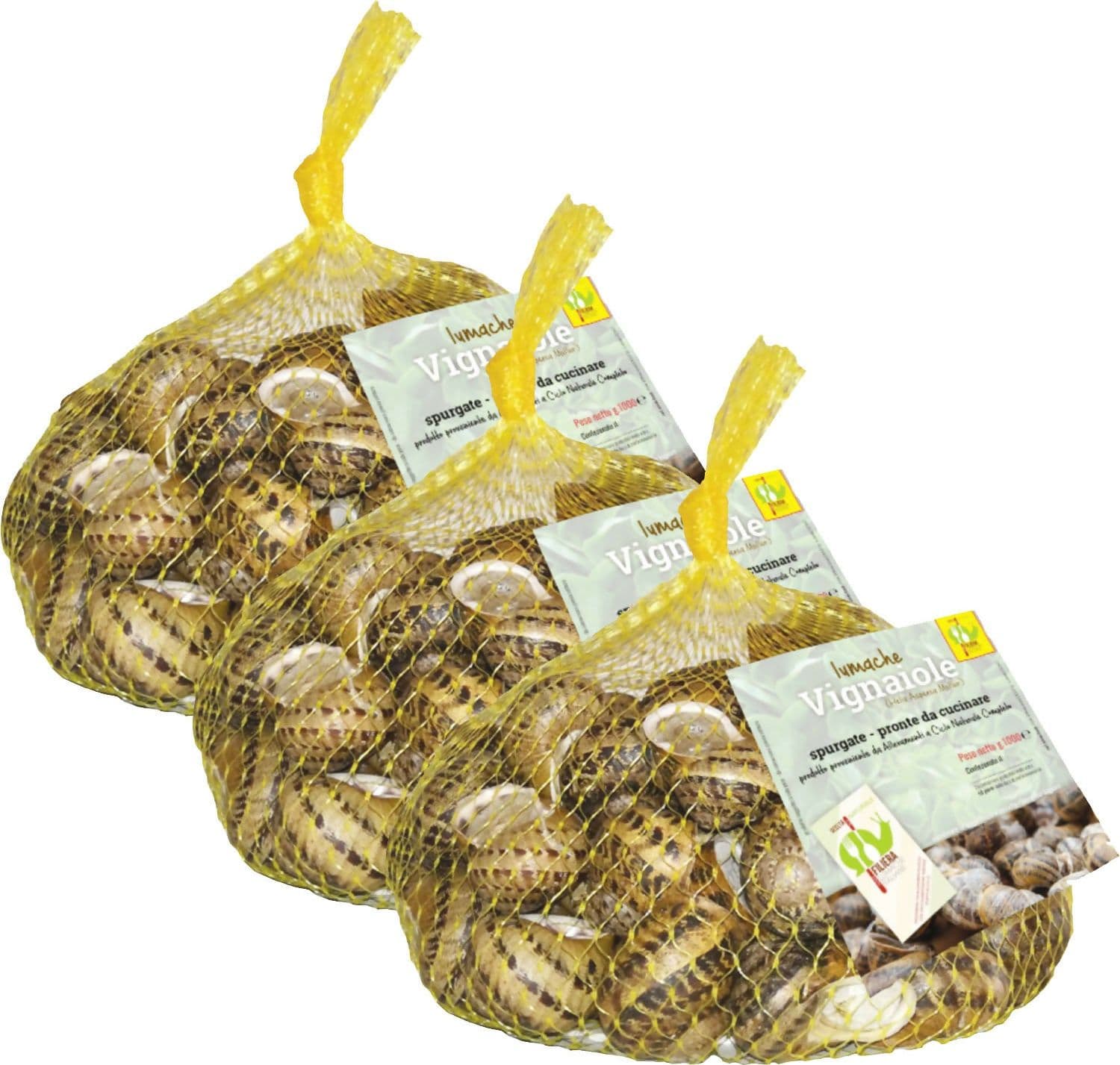 Lumache Vignaiole Grandi HELIX ASPERSA MULLER Spurgate Pronte da Cucinare 100% Italiane in Lumache Coclè - Piana di Monte Verna, commercioVirtuoso.it