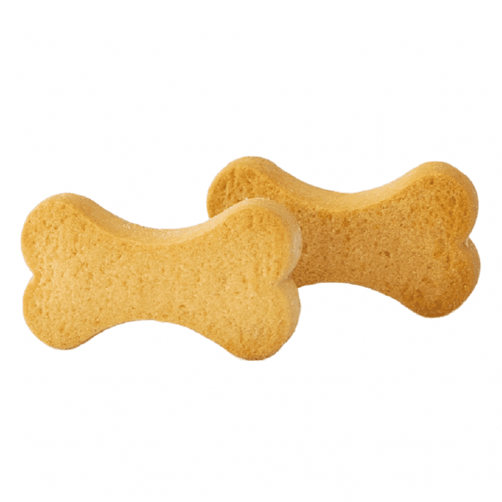 Biscotti di Natale DoggyeBag I Dicembrini al Salmone 150gr in Giochi con squeak 101 Market - Poggibonsi, commercioVirtuoso.it