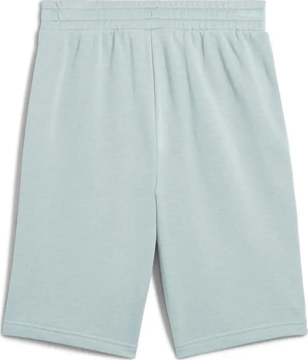 PUMA Ess 2 Color No. 1 Logo Shorts 10 TR Modern Mint in Pantaloncini sportivi 3A Moda Mare Sport - Bellaria Igea Marina, commercioVirtuoso.it