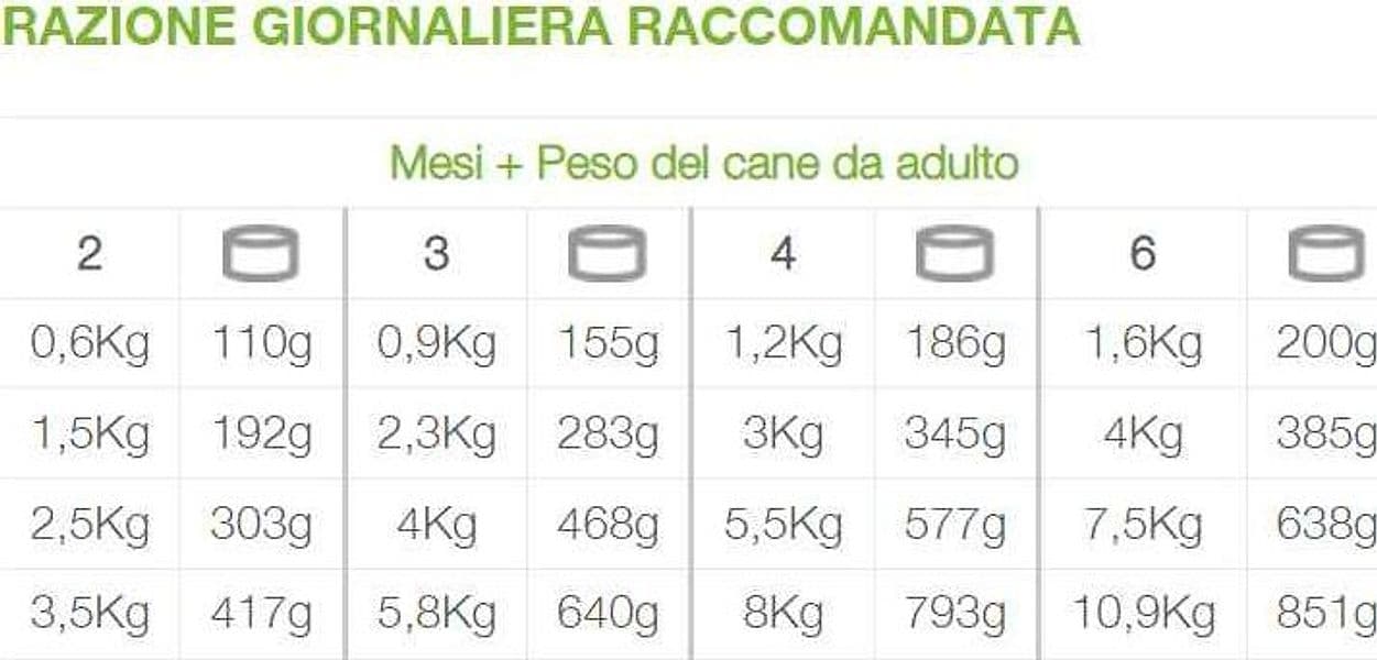 Natural Code Busta gusto Agnello Cibo umido per Cani Cuccioli in Secco 101 Market - Poggibonsi, commercioVirtuoso.it