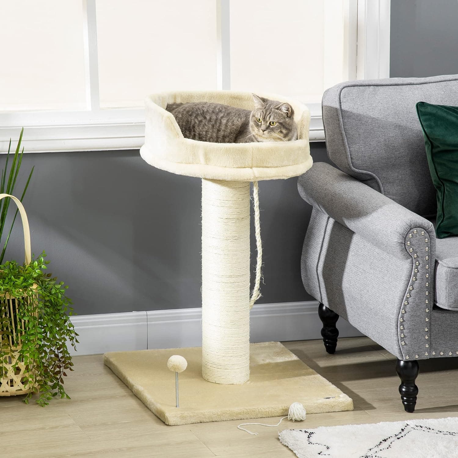 Albero Tira graffi per Gatti, Rivestimento in Peluche 55x55x83cm, (Beige)