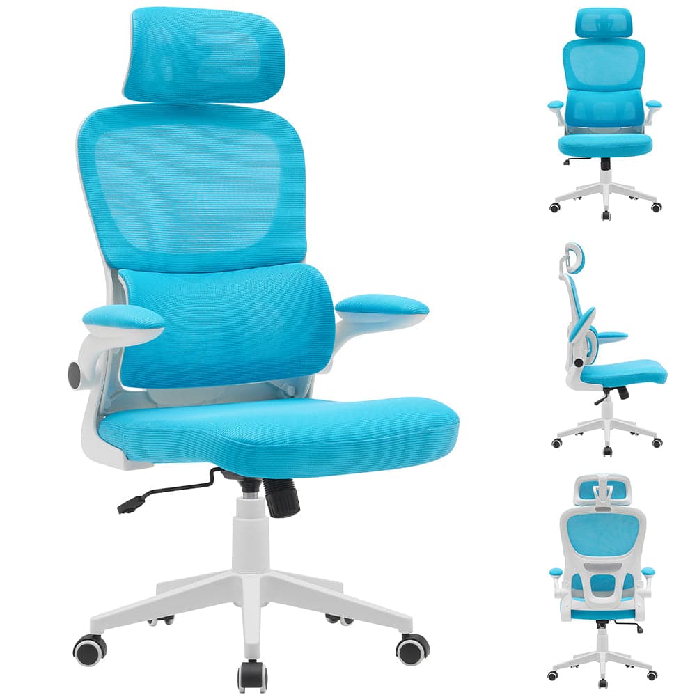Sedia da Ufficio in Tessuto Antisudore Azzurro e Bianco Poltrona Scrivania in Sedie da scrivania Danyx - Casoria, commercioVirtuoso.it