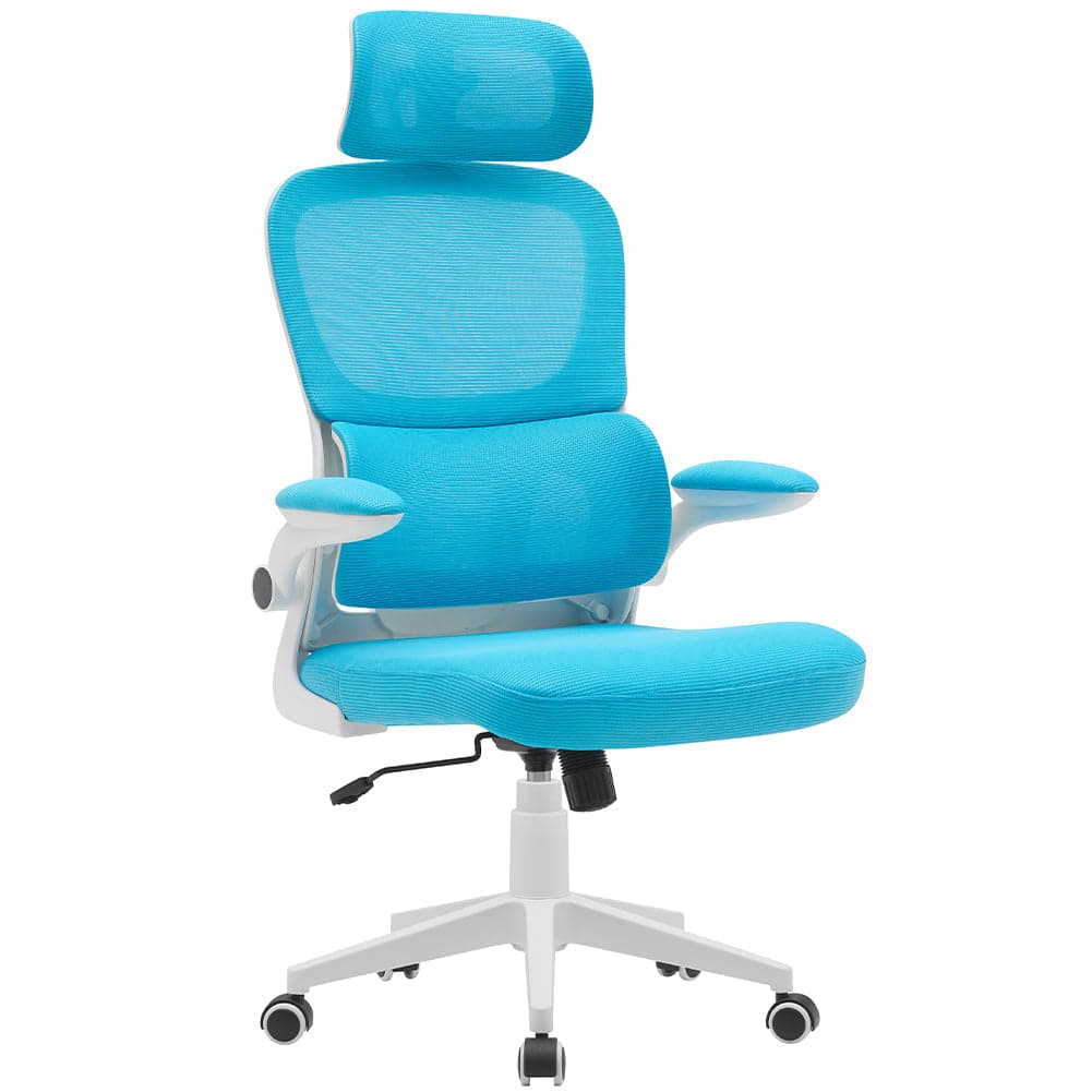 Sedia da Ufficio in Tessuto Antisudore Azzurro e Bianco Poltrona Scrivania in Sedie da scrivania Danyx - Casoria, commercioVirtuoso.it