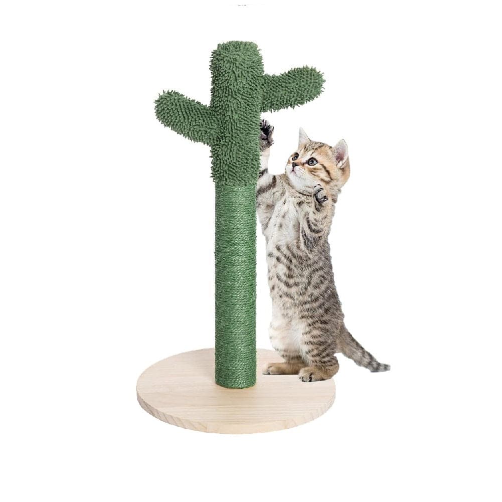 Tiragraffi Gioco Gatti Graffiatoio Albero Cactus Animali Felini Verde in Alberi tiragraffi Danyx - Casoria, commercioVirtuoso.it