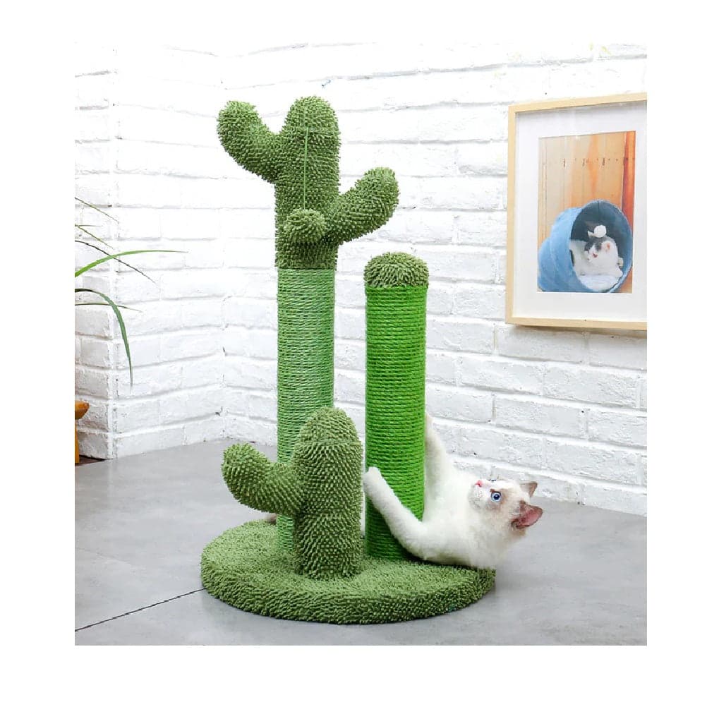 Tiragraffi Gioco Gatti, Graffiatoio Forma 3 Cactus con Pallina 34 x h59 cm Verde in Alberi tiragraffi Danyx - Casoria, commercioVirtuoso.it