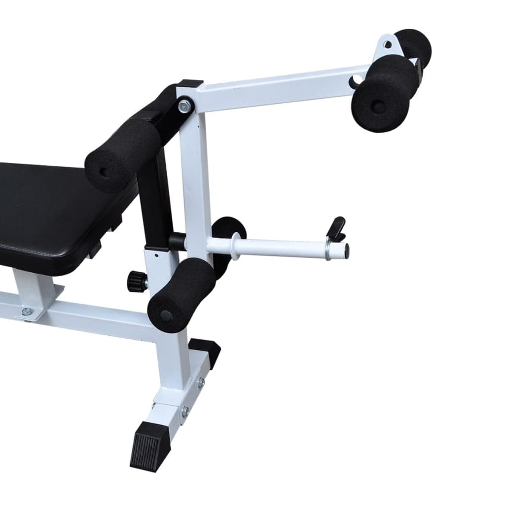 Panca Press Stazione Multifunzione Fitness Braccia e Pettorali in Sistemi di home gym Esplodia - Napoli, commercioVirtuoso.it