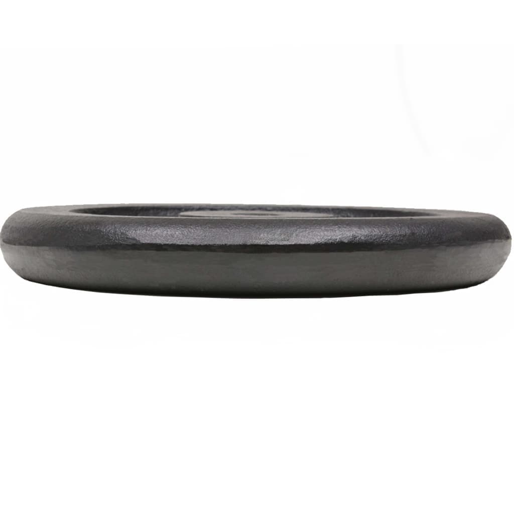 Dischi per Pesi 2 pz 2x15 kg in Ghisa Nero Rivestiti in Plastica Resistente in Dischi Esplodia - Napoli, commercioVirtuoso.it
